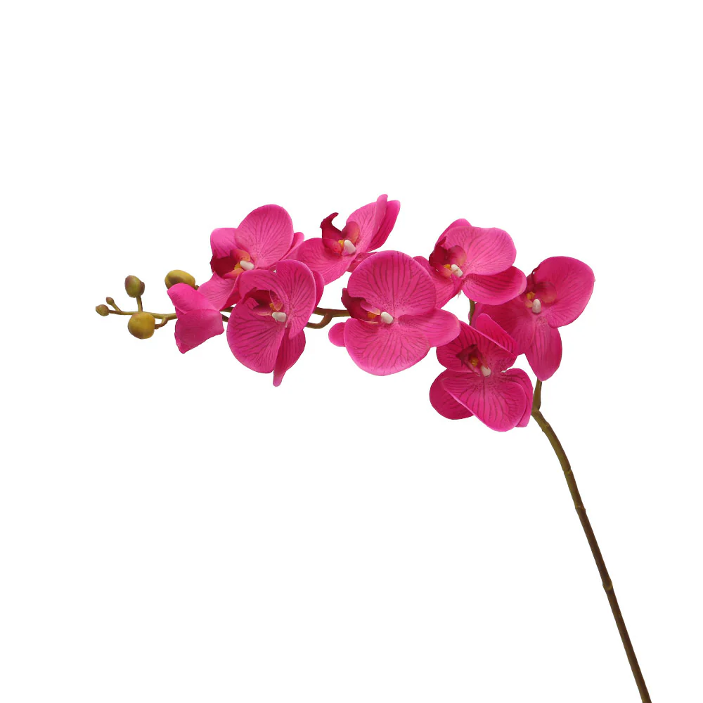 Product image 101
