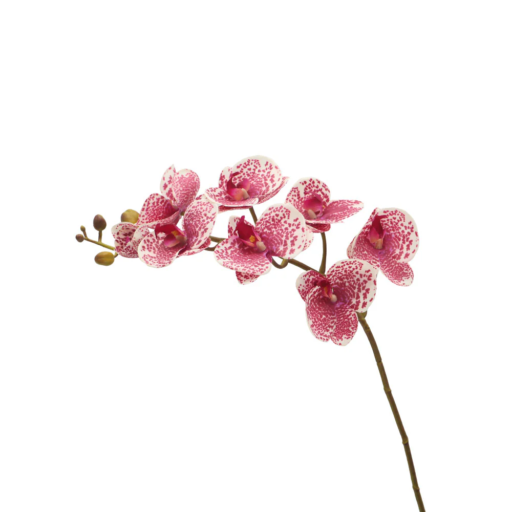 Product image 116